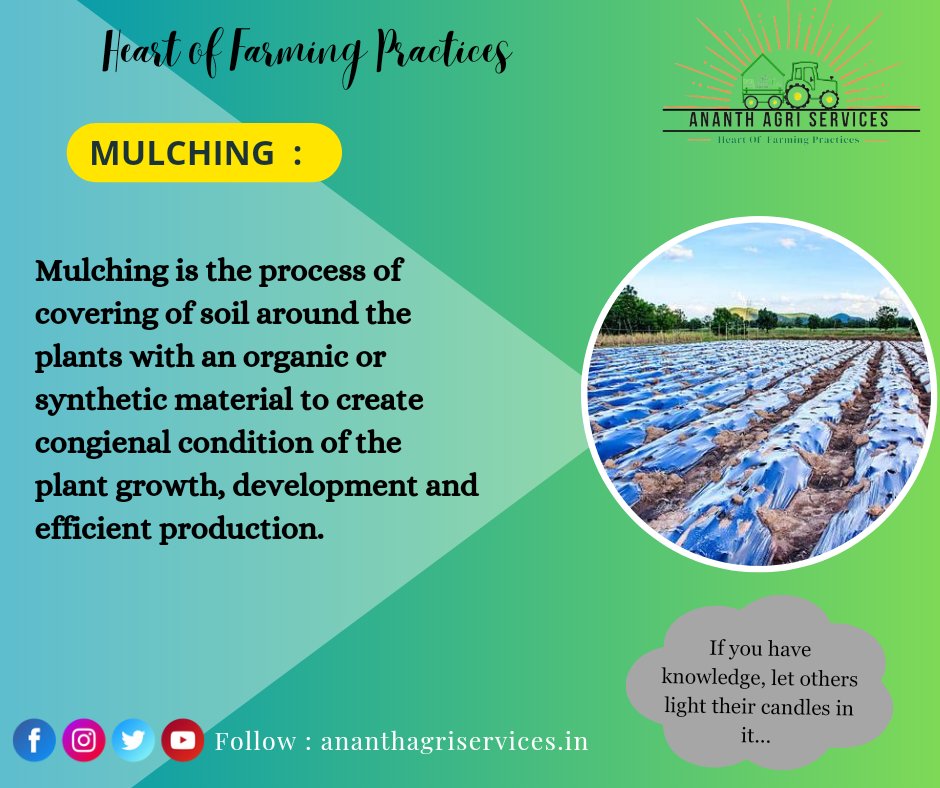 AgriAnanth's tweet photo. #agriculture #agricultureworldwide #agriknowledge #agriculturelife #agronomy #agricultureworld #agricultureindia #farminglife #farming #farmer #farmknowledge #lpu #lpuuniversity #lpudiaries https://t.co/QL5Zc7tcm9