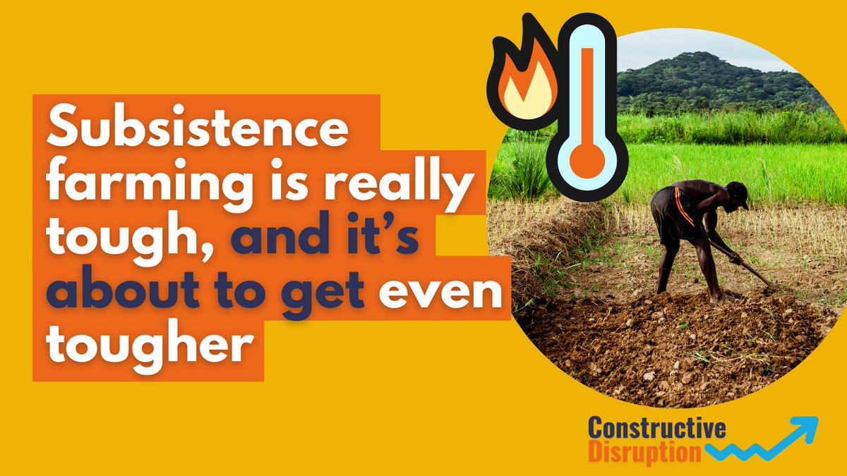 Clim_Eat's tweet photo. We hear a lot about the likely effects of #climatechange on #crops and #livestock. But what about subsistence #farmers and their ability to carry out manual labour? We dig into the issue in the latest from our #ConstructiveDisruption blog series. https://t.co/J4zqkxiwC5 https://t.co/iMWeRC1ets