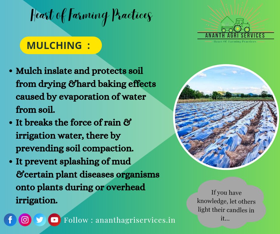 AgriAnanth's tweet photo. #agriculture #agricultureworldwide #agriknowledge #agriculturelife #agronomy #agricultureworld #agricultureindia #farminglife #farming #farmer #farmknowledge #lpu #lpuuniversity #lpudiaries https://t.co/7rOgYupMNF
