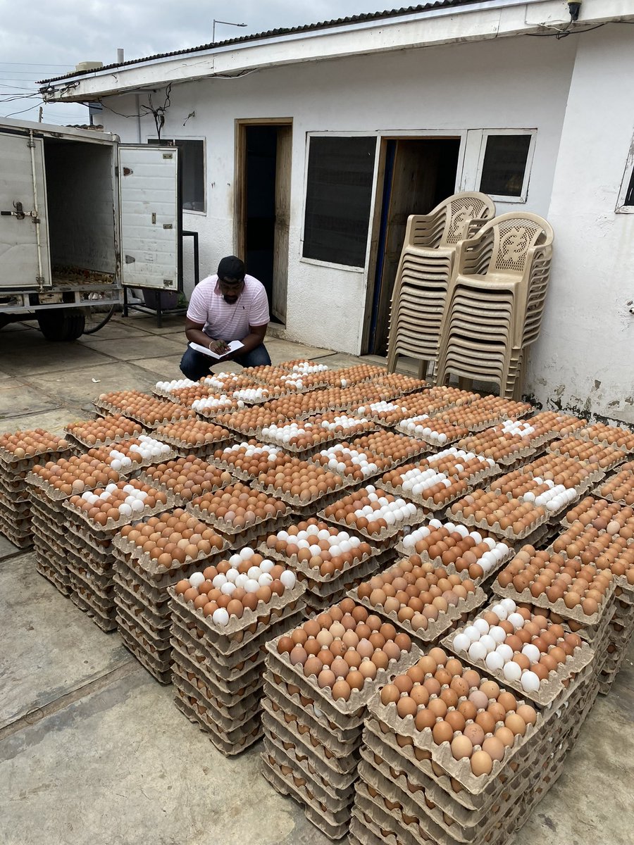Another eggciting week has started…..#melofoods #eggsforsale #agricisbae