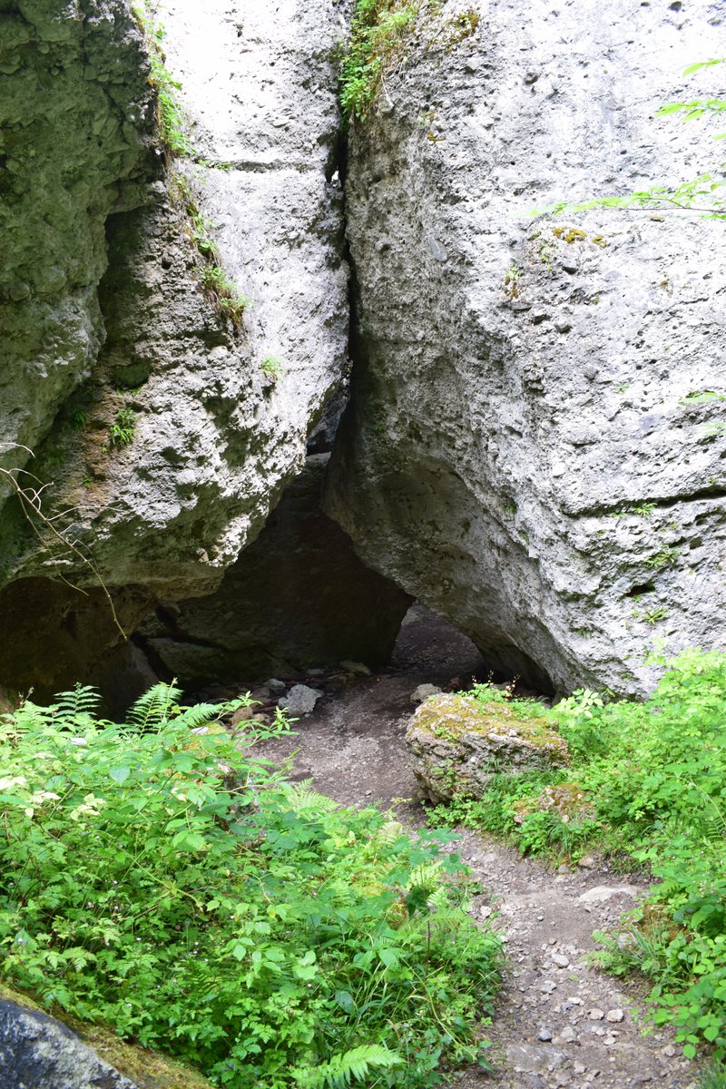 SamuelMarent's tweet image. pictures