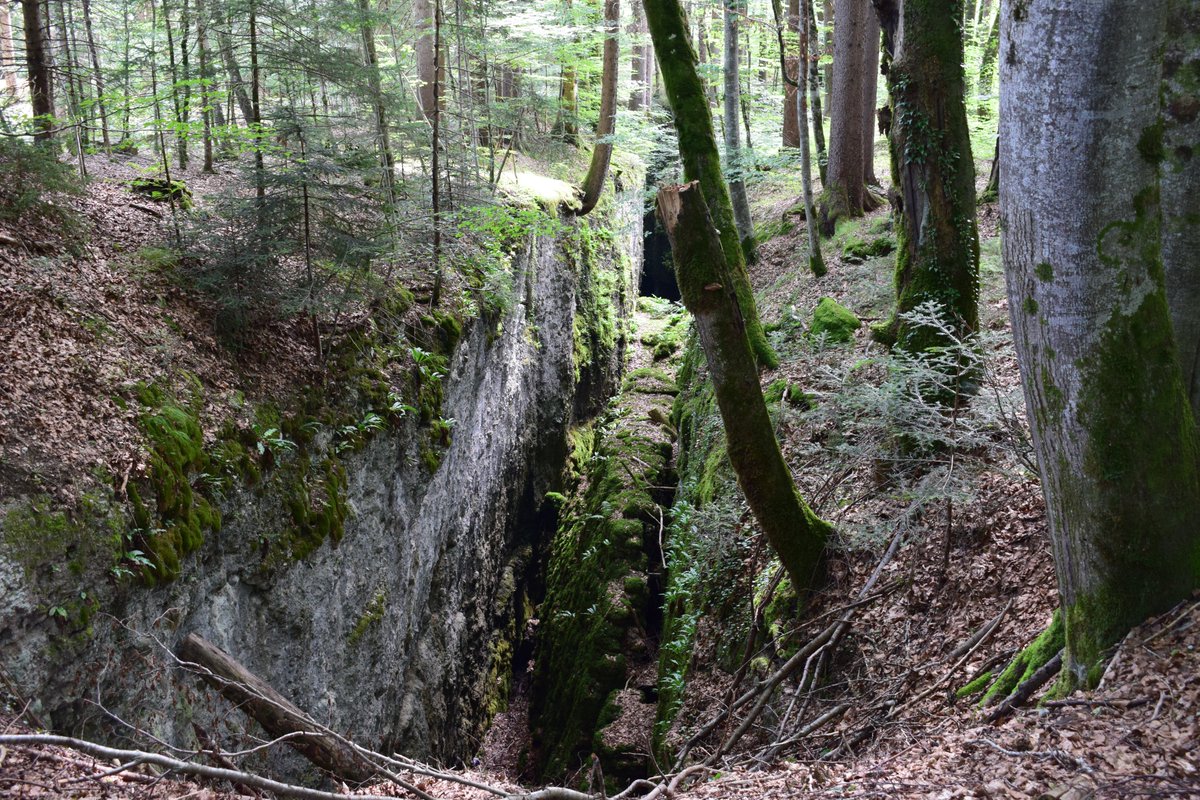 SamuelMarent's tweet image. pictures