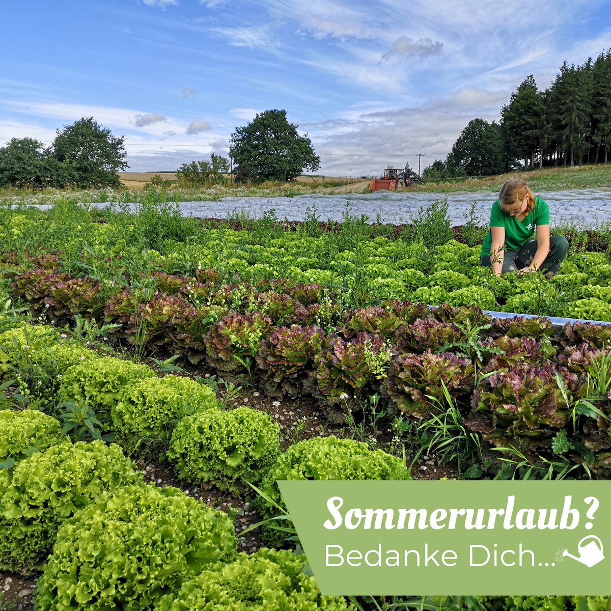 Oekokiste_K's tweet photo. ☀️🥬🫶 Du hast Sommerurlaub und möchtest weiterhin die regionale, ökologische Landwirtschaft unterstützen? … dann verschenke Deine #Ökokiste als Dankeschön fürs Blumen gießen, Katzen füttern oder Post annehmen.

💚 Mehr Infos hier: https://t.co/SDSQJYGiRX https://t.co/djXhcIykca