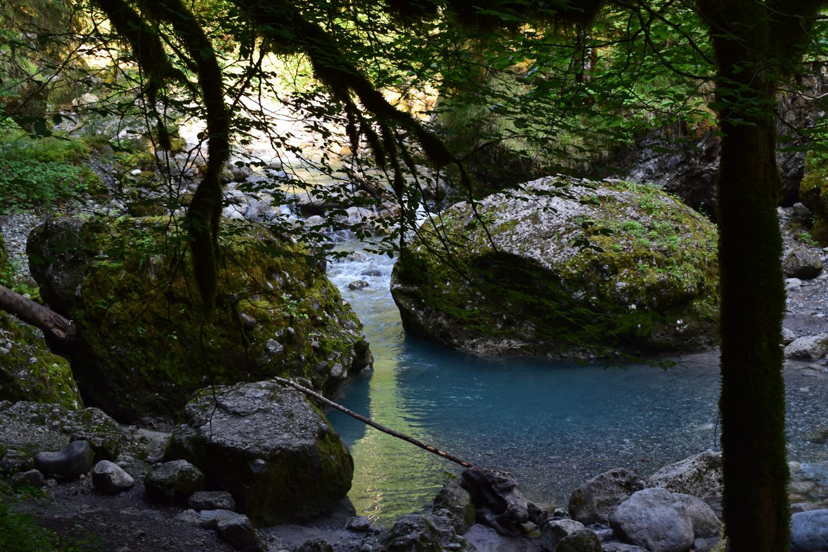 SamuelMarent's tweet image. 