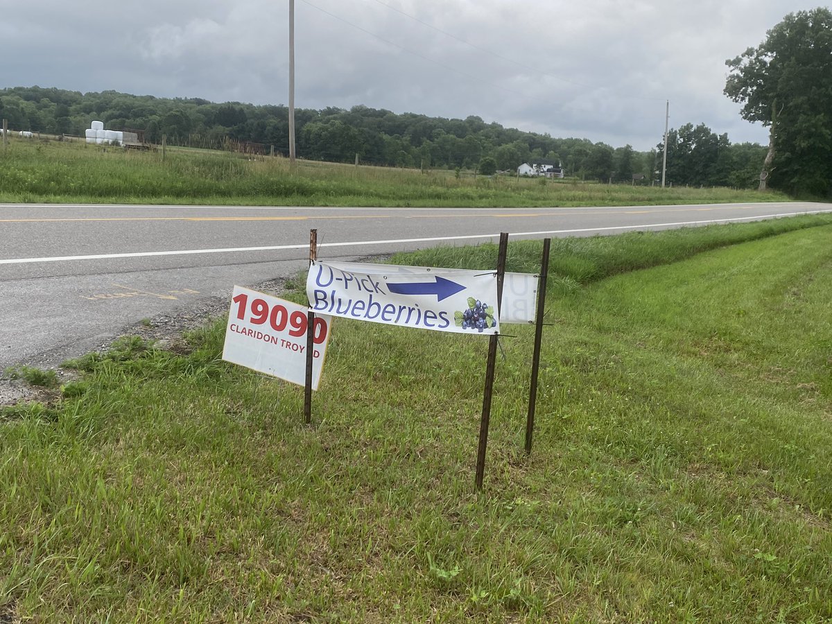 Kelly Nyzen tweet media