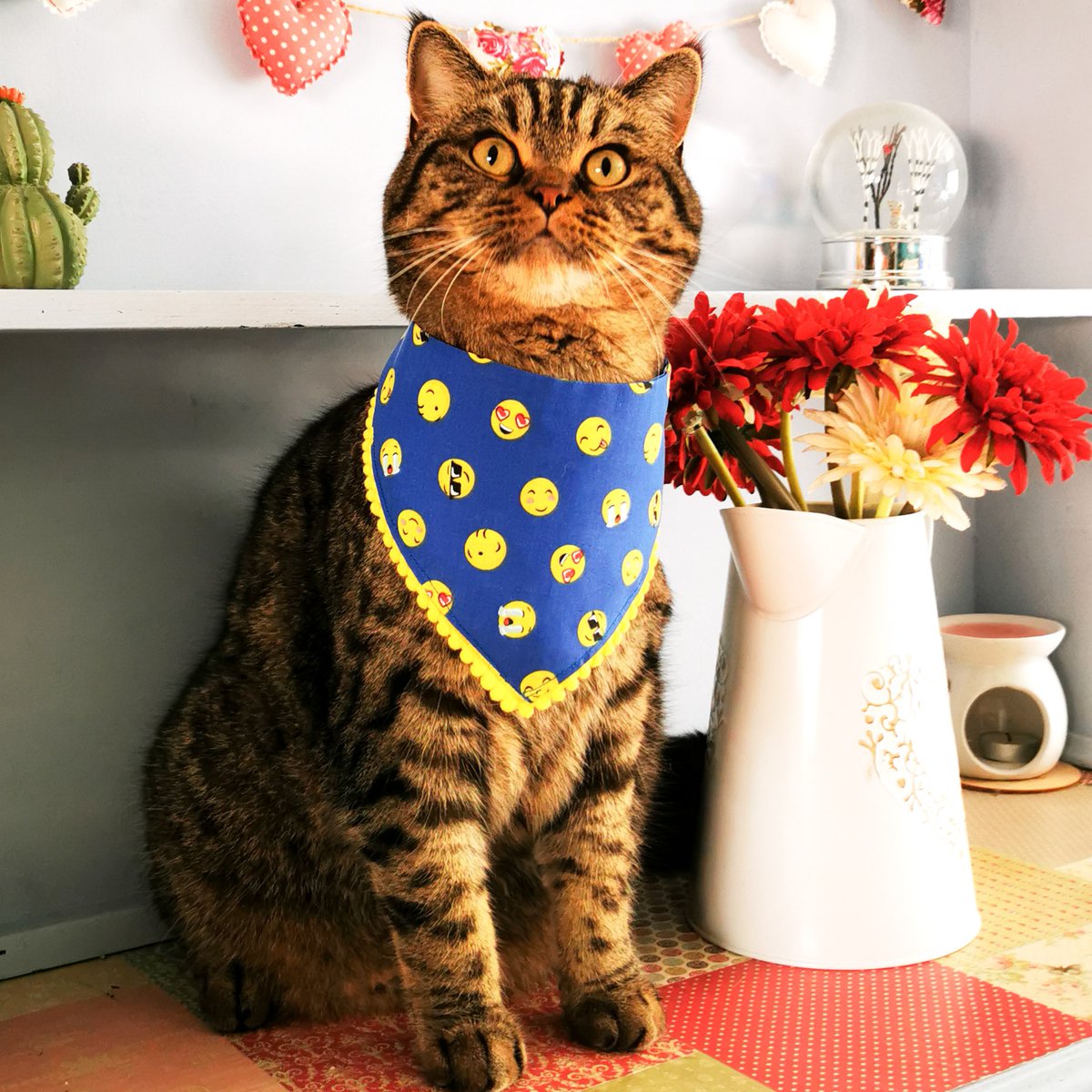 EliMilodi's tweet photo. Teddy's celebrating #WorldEmojiDay wearing his totally furbulous bandana 😻 https://t.co/Ine2MmylKH