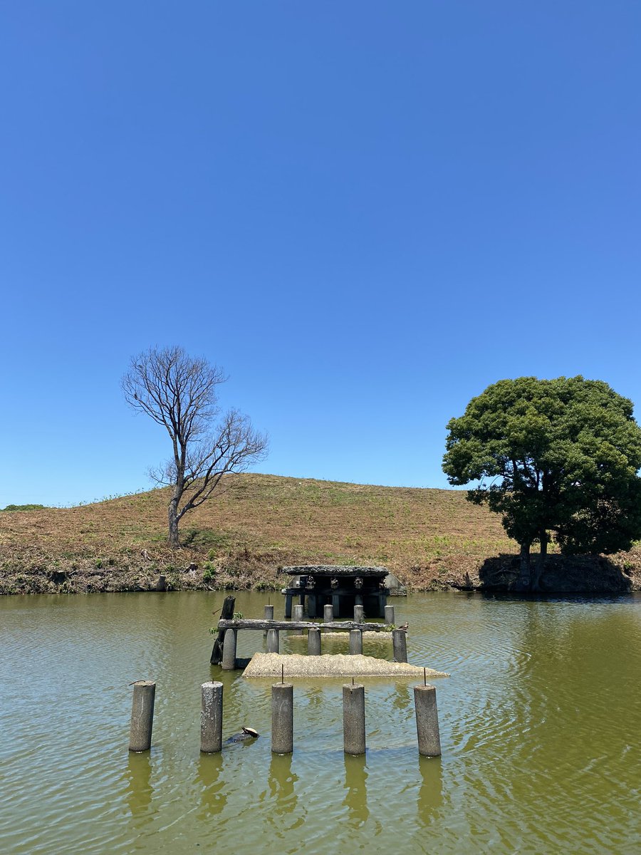 DaDaDa5559's tweet photo. 世界遺産1級目指してるのに全然行ったことないは恥ず���しくて、電車で行ける仁徳天皇陵古墳と、2級の試験で正��肢として出てきたいたすけ古墳見てきました😳日陰0、100点満点の快晴☀️ https://t.co/RS4AFEwbHs