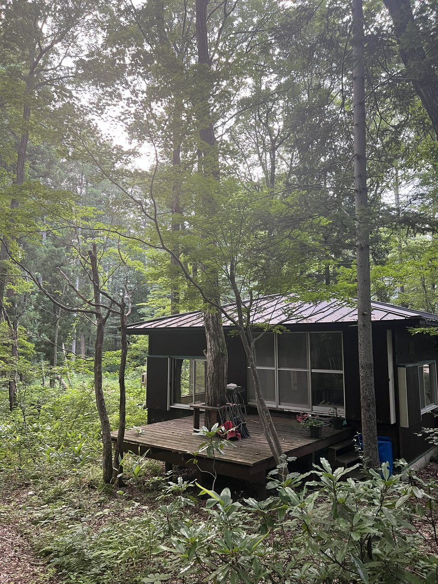 Mark de Clive-Lowe tweet media