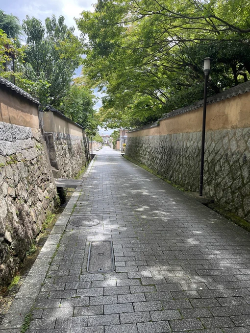 帰りも城下町を歩いていく…これはそこで営巣するキイロスズメバチ(だと思う)の巣…  あとで言及するけど、今回の旅は蜂に囲まれまくっている気がするのだった 季節柄?   #らいむの山口旅