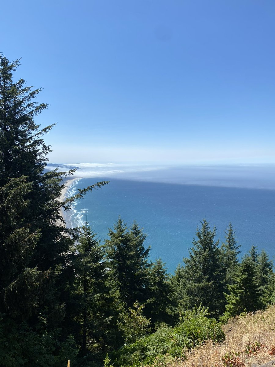 BlurpStang's tweet photo. @fasc1nate Neahkhanie Beach in Manzanita, Oregon. https://t.co/91iKKtofzh