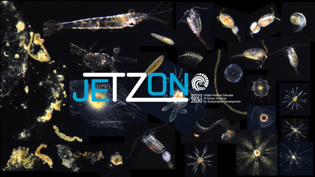 Ocean_JETZON's tweet photo. Talks:
Wed 26 July 1500 UTC    

~ Impact of ocean warming &amp; deoxygenation on marine species in 21st century – Anne Morée  

~ The distribution of physical particle injection pumps in the S.Ocean – Andy Thompson  

Subscribe to email list to register:   https://t.co/wnO1mnt4mK https://t.co/FDc7lYGd8t