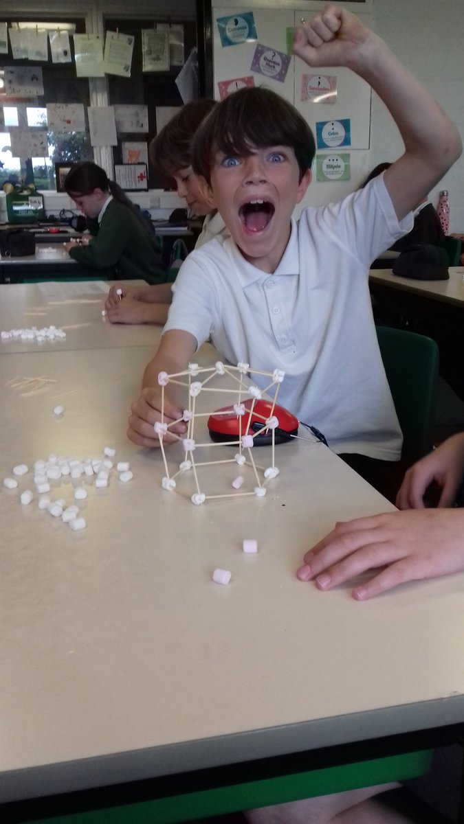 Stubbins Primary tweet media