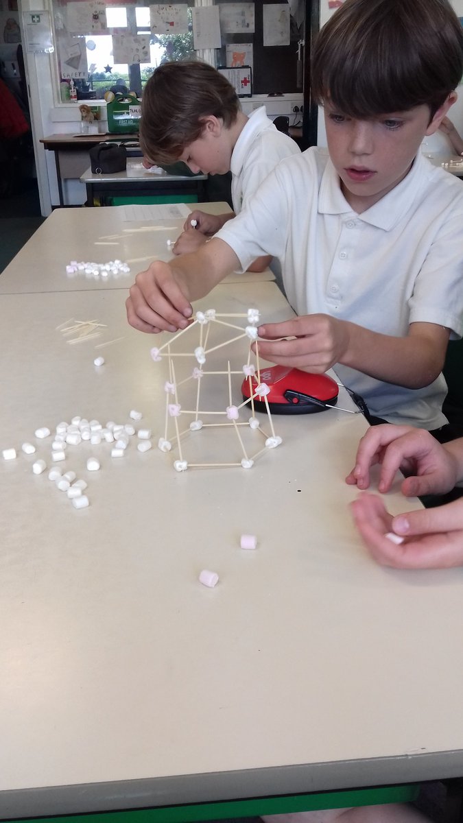 Stubbins Primary tweet media