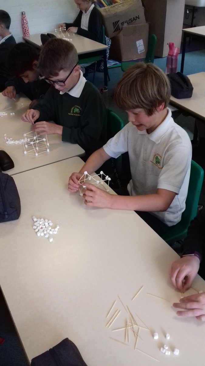 Stubbins Primary tweet media