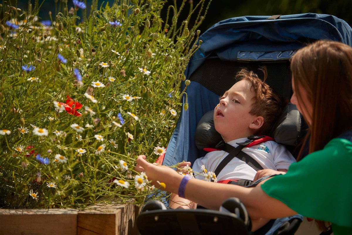 boparantrust's tweet photo. We love to receive updates from beneficiaries and our Monday Motivation for this week is 4 year old, Sidney. He has cerebral palsy, hydrocephalus and epilepsy making him dependent on others. The Boparan Chairtable Trust supported Sidney and his family with a specialist buggy. ☀️ https://t.co/gayS09Z9aD