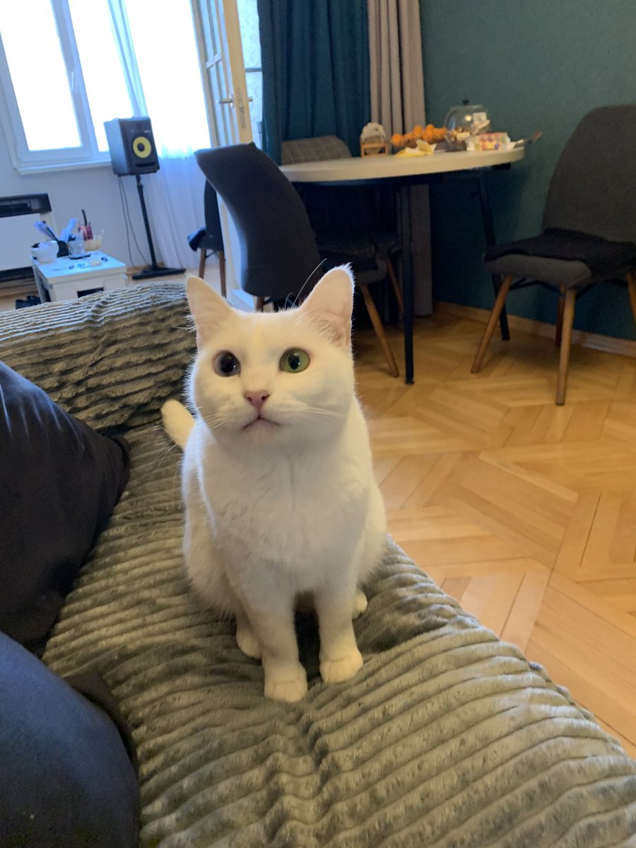 i do not think therefore i do not am on Twitter "RT shrimpman37 LOST