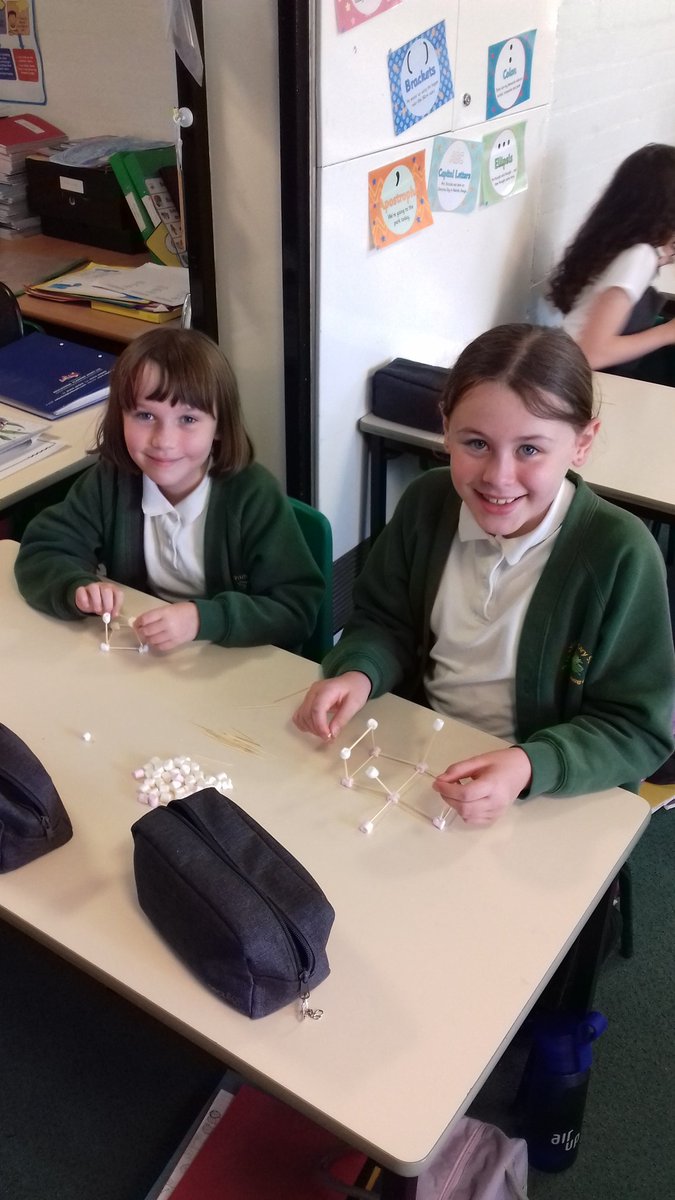 Stubbins Primary tweet media