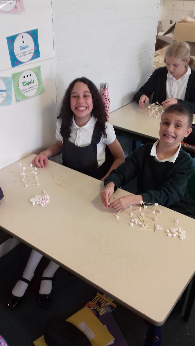 Stubbins Primary tweet media