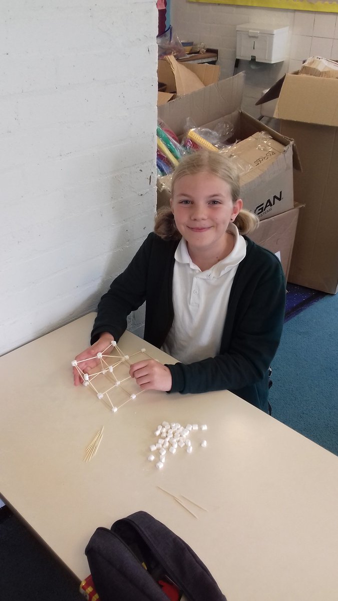 Stubbins Primary tweet media