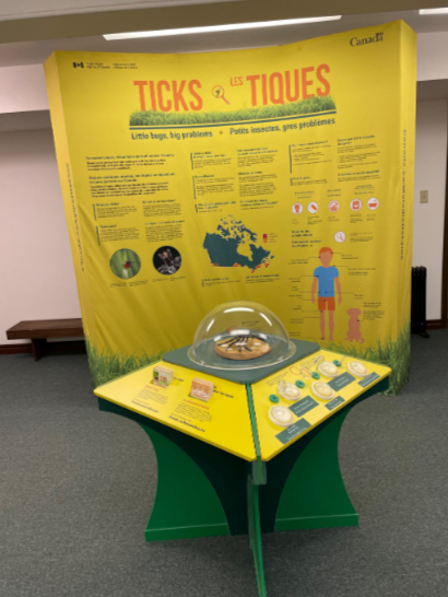 The tick display was recently moved to Stanhope branch.

You can borrow a magnifying glass and pick up pamphlets to help you spot them in the wild!