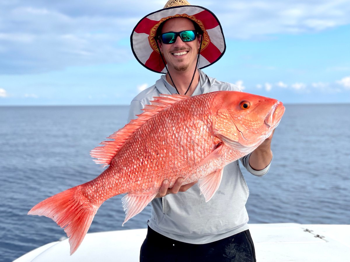FloridaSeaGrant's tweet photo. ✅ Check becoming a #FloridaFriendlyAngler off your summer bucket list today!

Do you love saltwater #fishing? Through this FREE online course, you'll learn more about ways to help conserve Florida’s marine resources while doing what you love. 🎣 https://t.co/GfoJgoTVtw https://t.co/t6Vdfx4jnJ