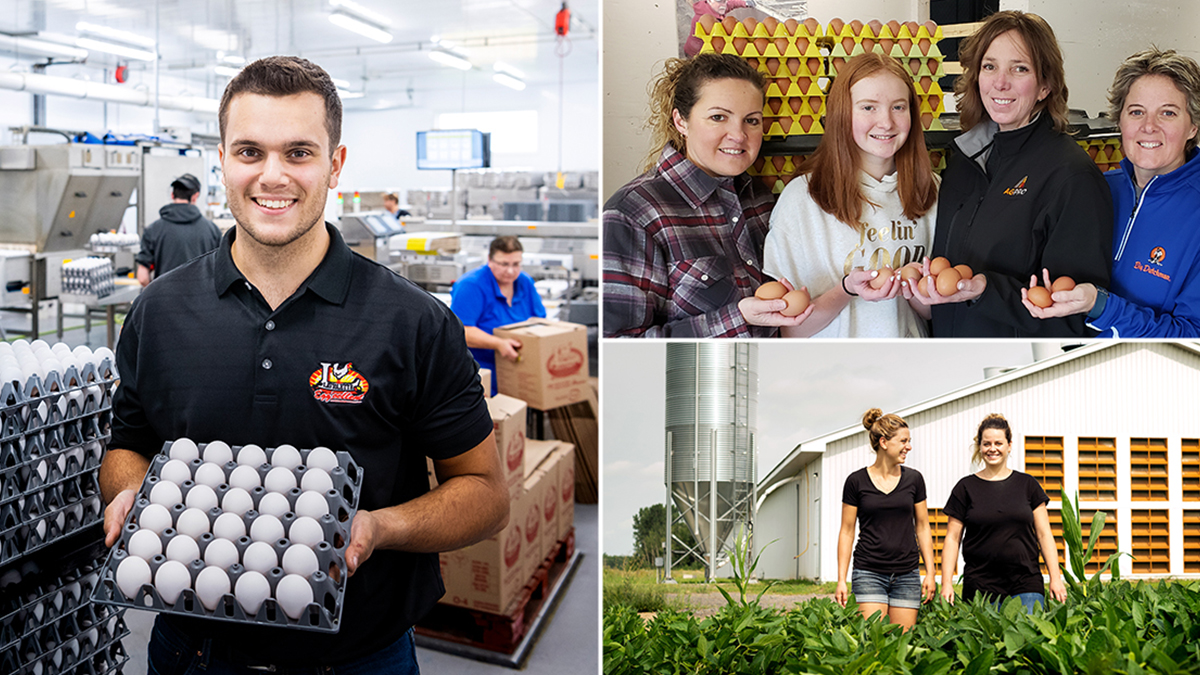 Egg Farmers on Twitter "Across Canada, egg farmers are dedicated to