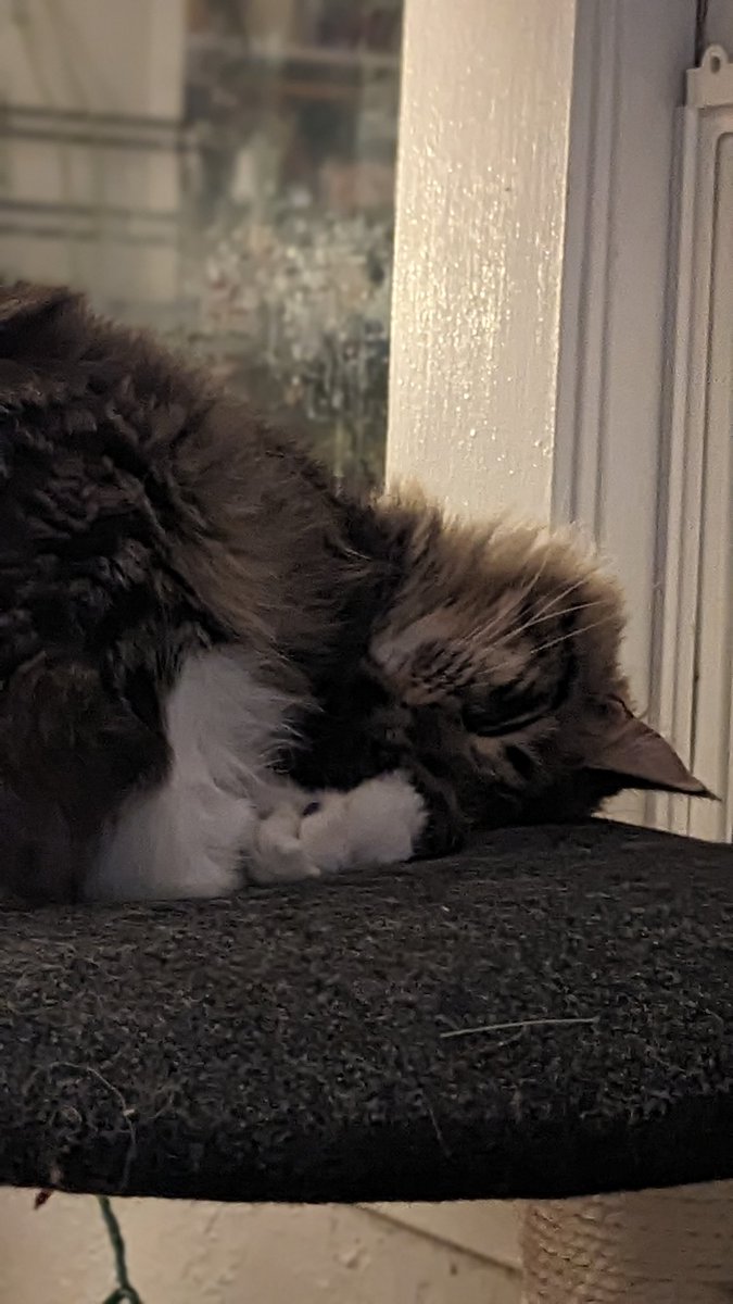 _Hi_im_luke's tweet photo. He do be so eepy https://t.co/NW5WappBQO