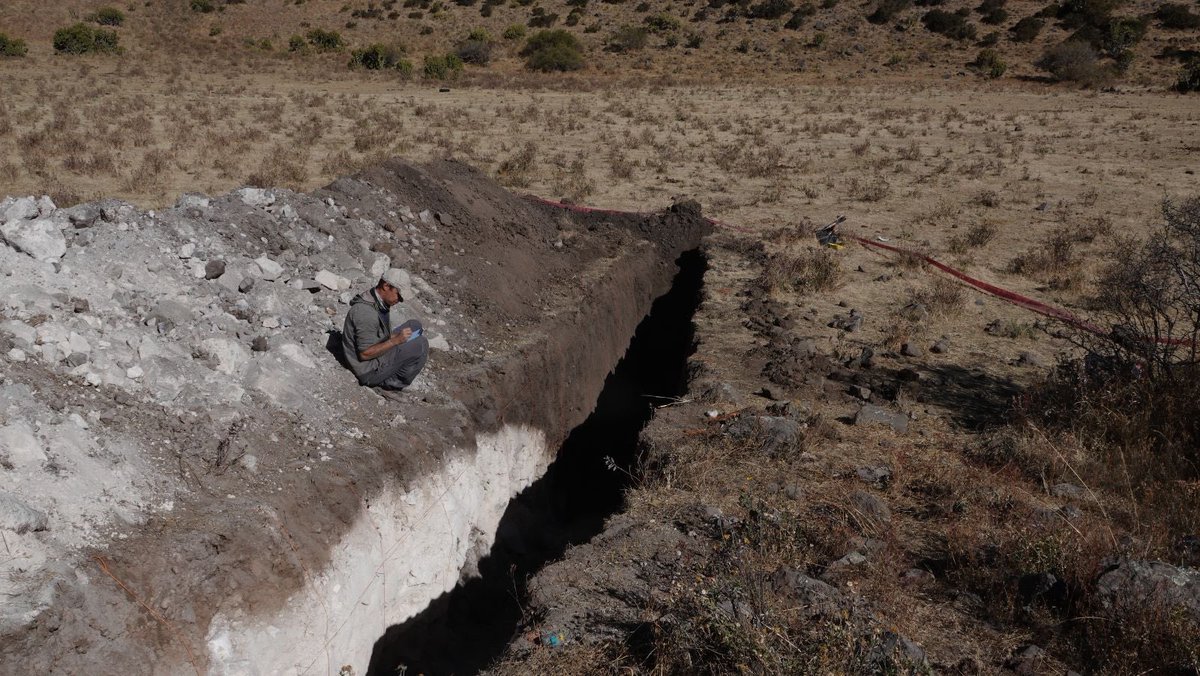 K. Gaidzik tweet media