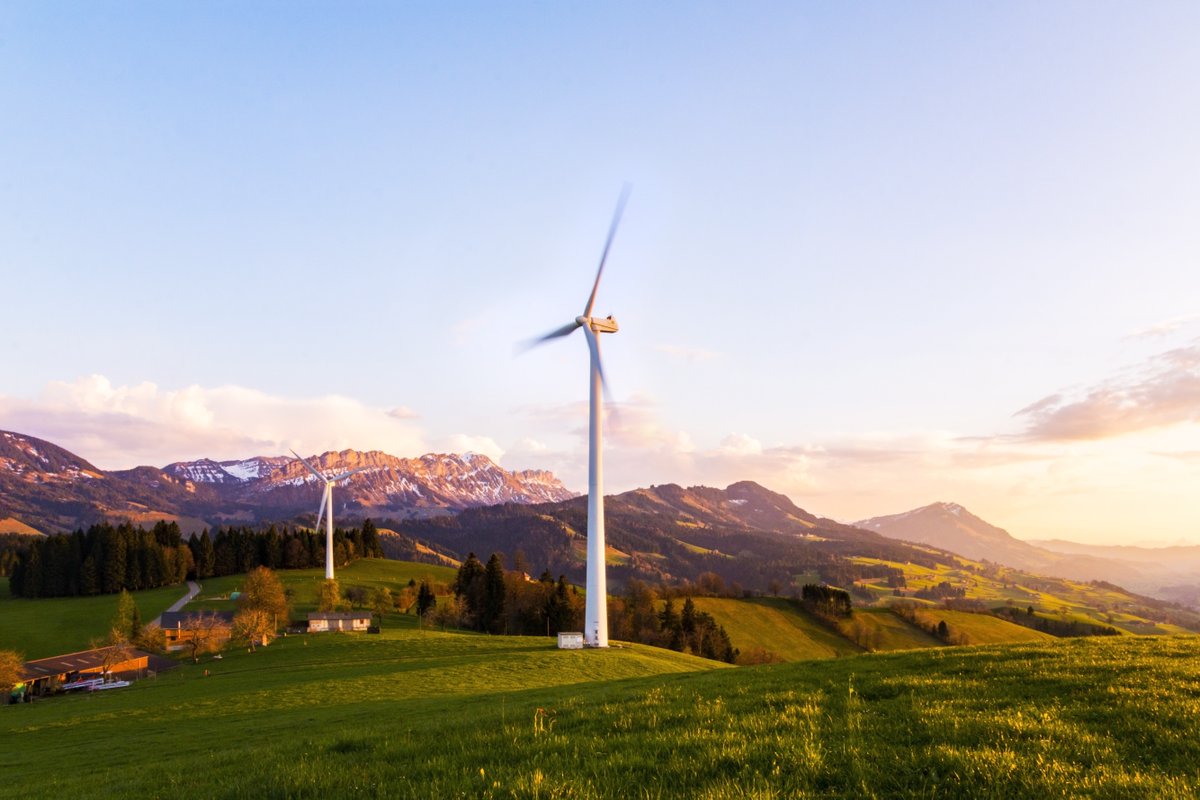 Just like our global reforestation projects, we offer a variety of Carbon Offset projects including Wind Power, Reforestation, and Methane Recovery. 🌍

Ready to offset your Carbon with PrintReleaf? Get started today!
hubs.li/Q01WM9XT0