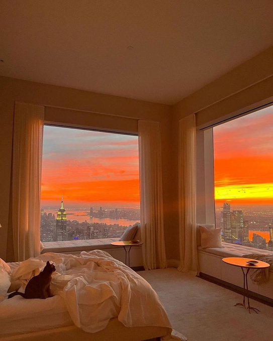 OfficialPLT's tweet image. Mood 🌆