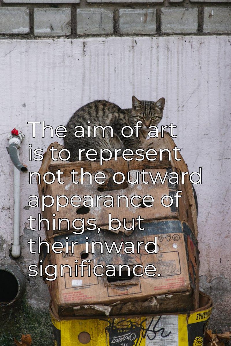 PhilosophyCats's tweet photo. Photo provided by Pexels: https://t.co/VfkySpLiUI

Photographer: Дмитрий Рощупкин | https://t.co/s2kkXCt3tZ
Original picture: https://t.co/tCyPjgYJst

#philosophy #cats #CatsOfTwitter https://t.co/huZA7mIflJ