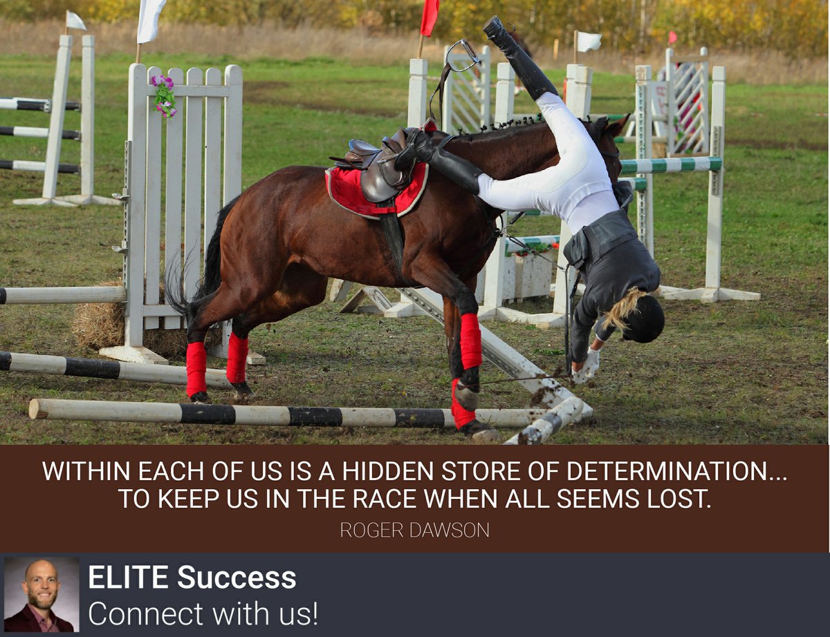 Timothy Widener tweet media