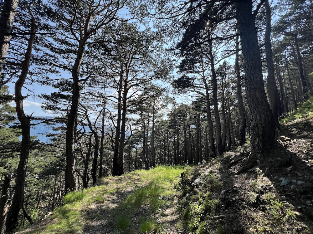 Minimo Impatto tweet media