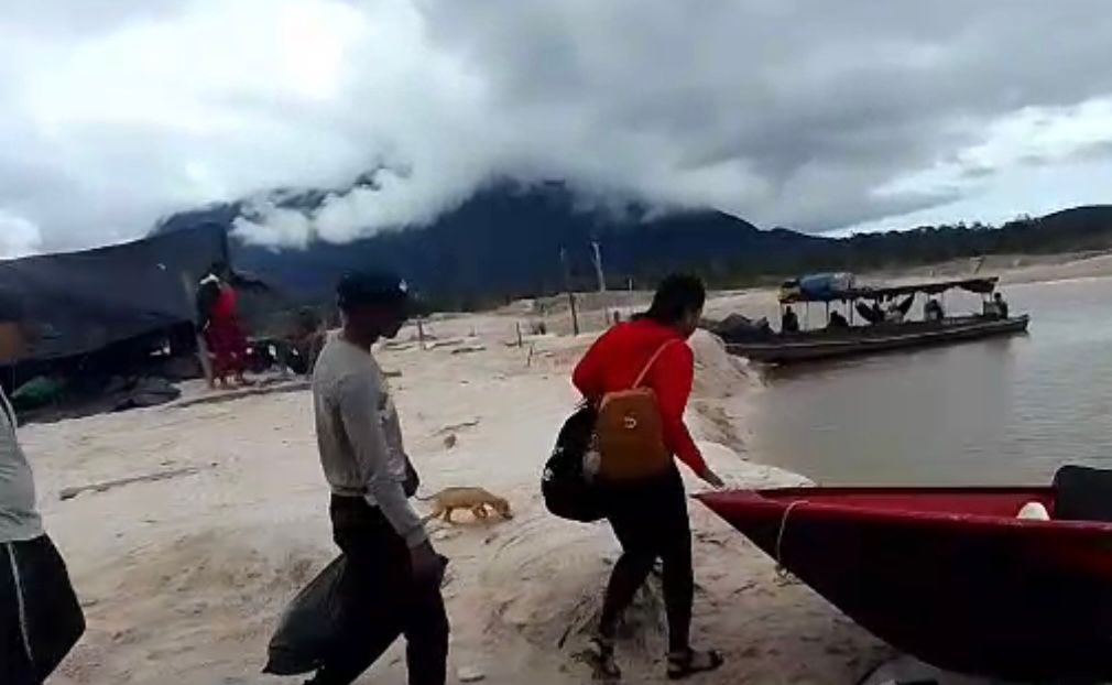 Una vez evacuada la población del Parque Nacional Yapacana #FANB procede a desmantelar y destruir las estructuras logísticas que servían de alojamiento y servicios para la depredación de la naturaleza, para posteriormente en conjunción con el <a href="/MinecOficial/">MinecOficial</a> iniciar la