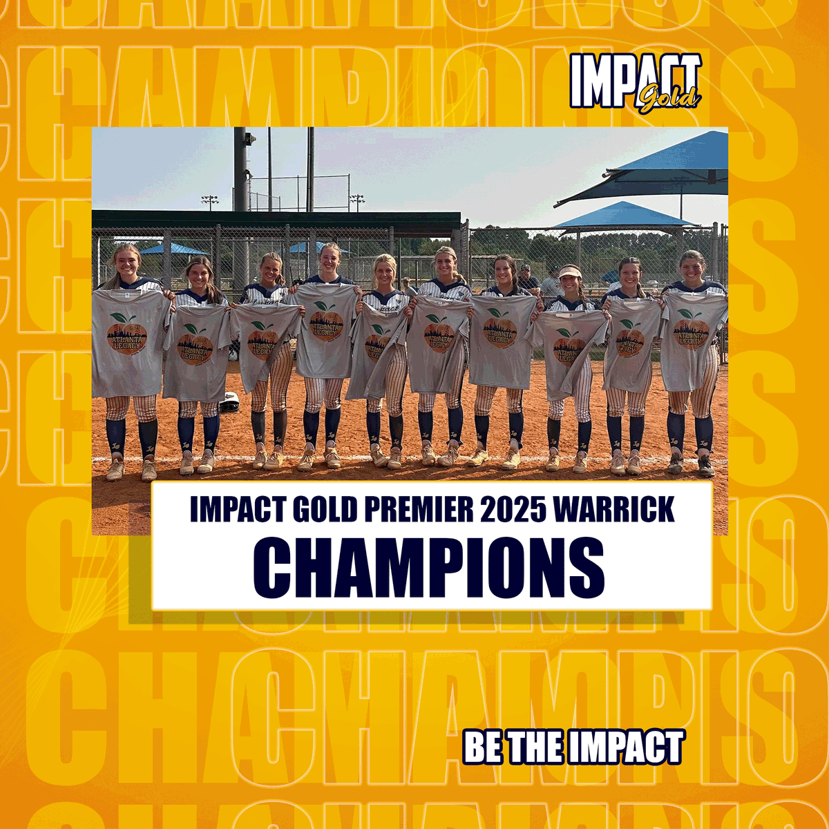 Impact Gold Fastpitch tweet media