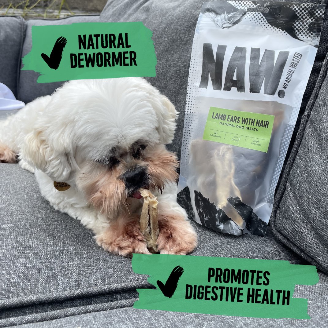 getnaw1's tweet photo. More than just a tasty treat...

Hair not only provides vital nutrients for your dog, but it also acts as a natural dewormer 🪱

Keep those pesky parasites at bay ⬇️

https://t.co/SdHCdIV60d https://t.co/bPst1qy0Lj