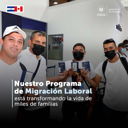 Ministerio de Trabajo tweet media