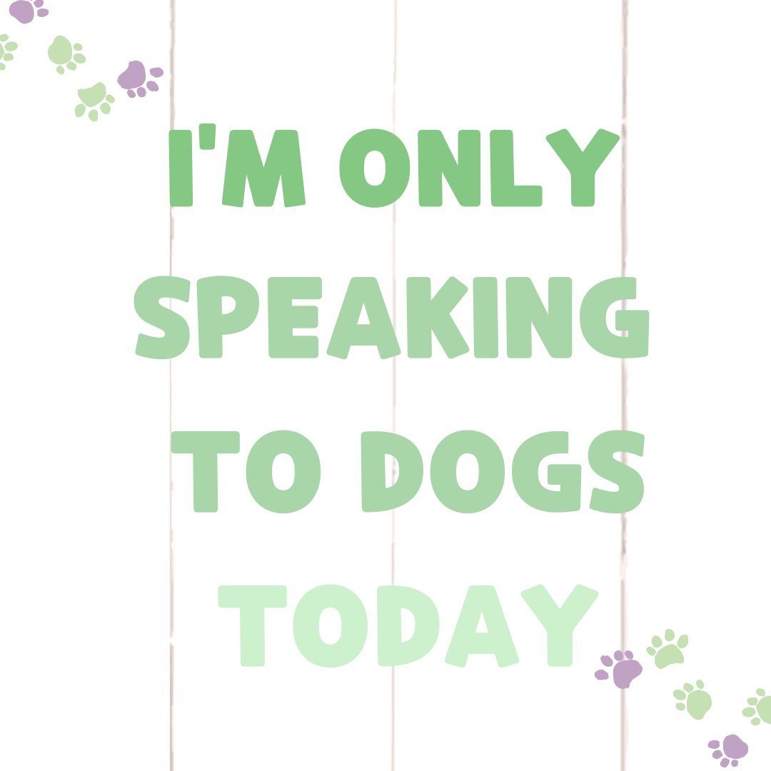 NatureGnaws's tweet image. Monday Mood: I&apos;m only speaking to dogs today 🐶

#muttsoftwitter #mondaythoughts #naturegnaws
