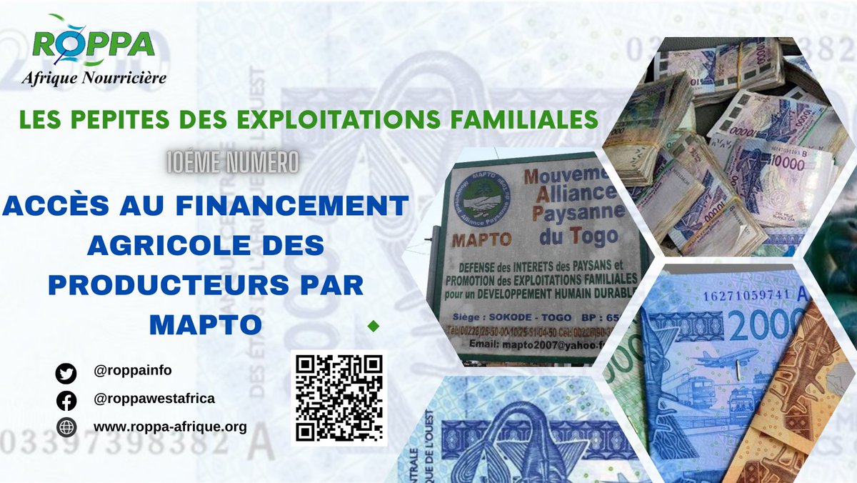 🌱🌍Révolution Agricole au Togo 🚜💡🇹🇬Découvrez comment MAPTO brise les barrières du financement agricole dans notre rubrique hebdomadaire 'Les pépites des exploitations familiales'! Lisez l'article complet ici 👉 bitly.ws/LBLG #Agriculture #Innovation #Togo #MAPTO 🌱