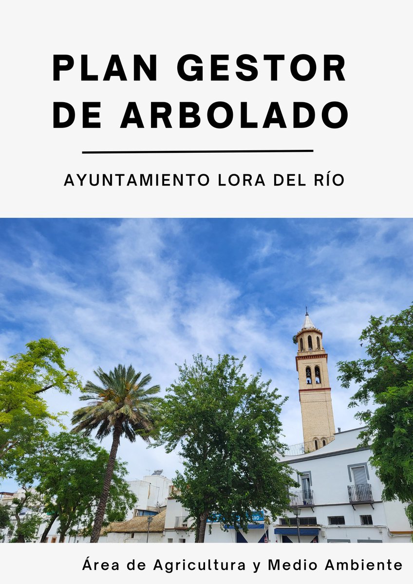 Plan Ve participa en la construcción de ciudades saludables y habitables desde el diseño de espacios verdes sostenibles y la gestión eficiente del arbolado urbano, con un elevado compromiso profesional al desarrollar los proyectos y planes de gestión.
amja.es/plan-ve-lora-d…