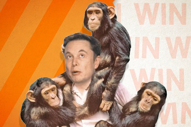 LuckyApeToken's tweet photo. The apes are gathering for tomorrows presale… 🦍

#LuckyApe #ETH https://t.co/iZ8GBiElTk