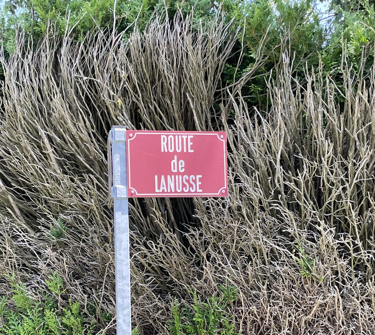 Louis Witter tweet media