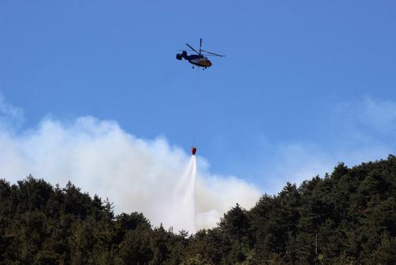 Hatay, #Belen’deki orman yangınına; ✈️7 uçak 🚁12 helikopter 🚒58 arazöz 🚨7 iş makinası 🧑🏻‍🚒320 personel sevk edildi. #OrmanınKahramanları’nın havadan ve karadan etkin müdahalesi aralıksız devam ediyor