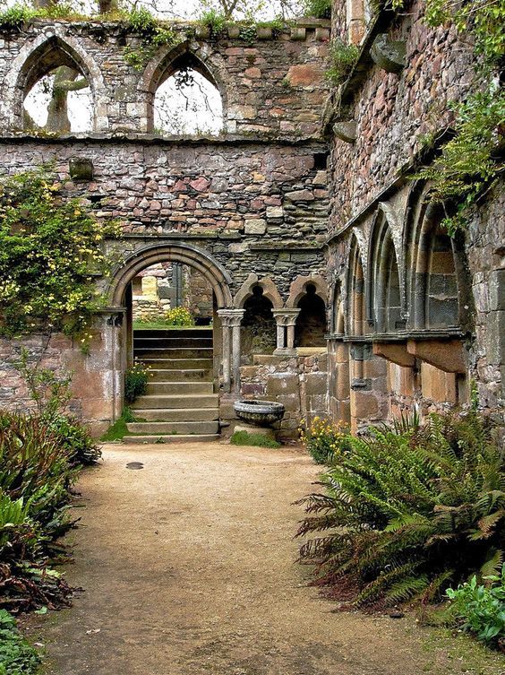 Suziejp51's tweet photo. @SiKImagery #ADifferentView I love old buildings, especially when nature has taken over. https://t.co/Su7mEnP3un