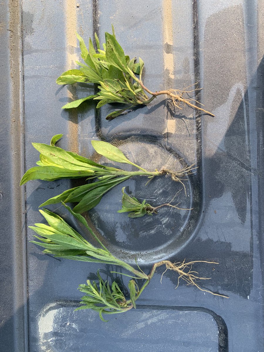 Group 30 resistance 😜