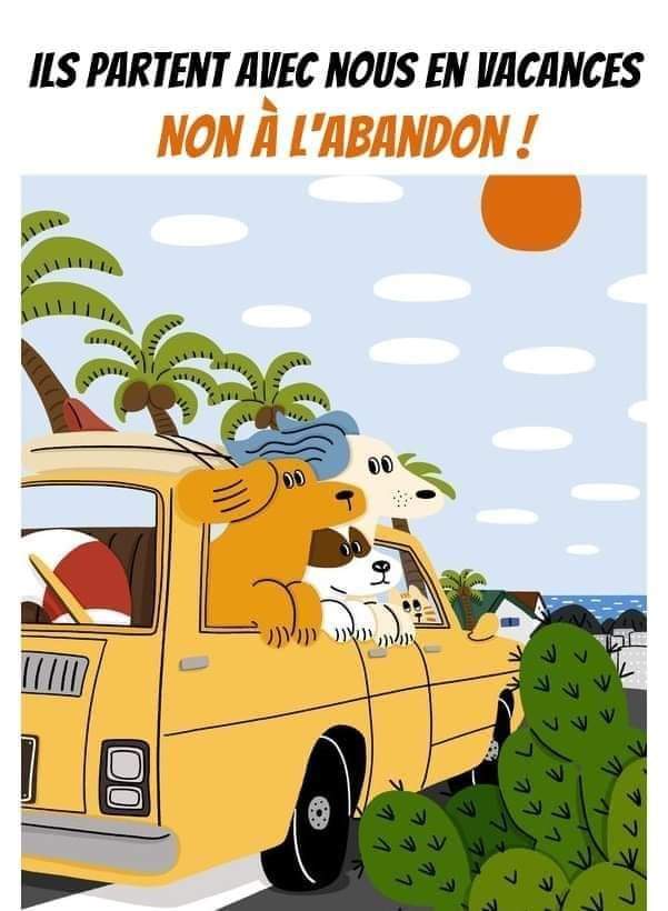 animaux_planete's tweet photo. Ils partent avec nous en vacances ❤

#Nonaladandon https://t.co/wcMoeyW6tZ