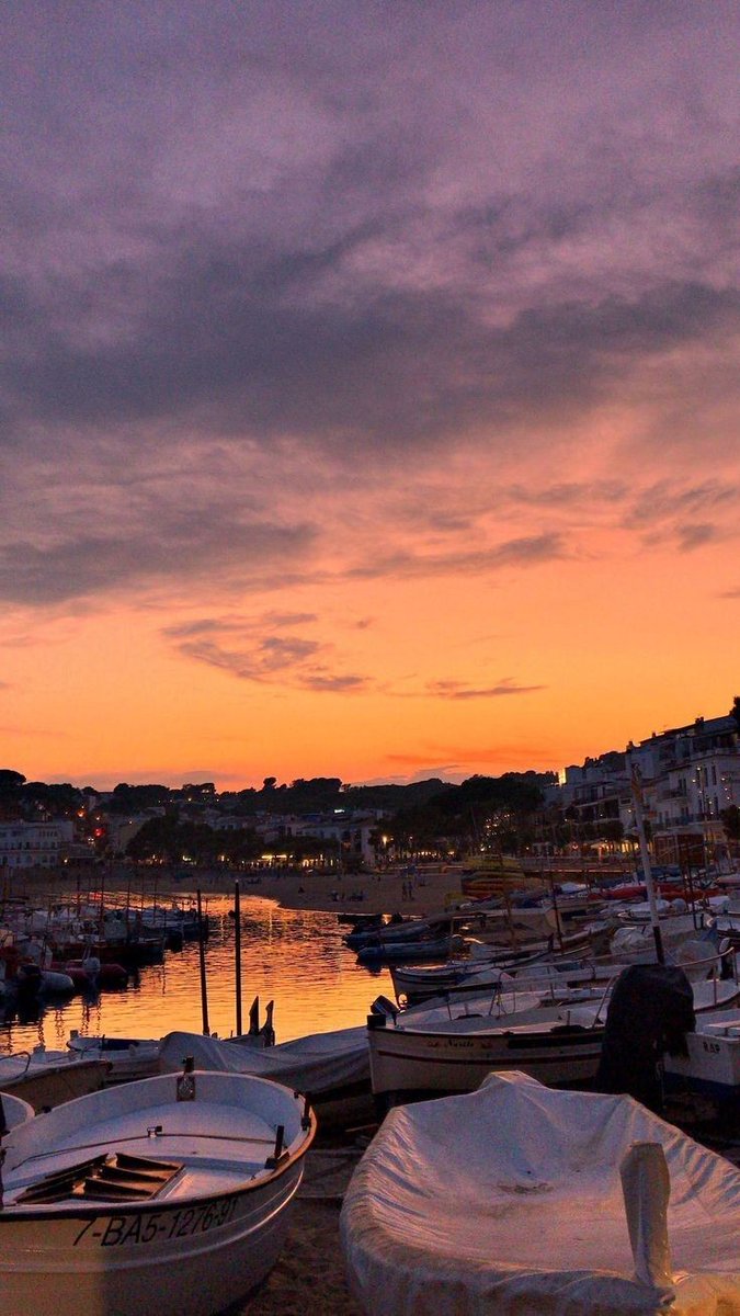 Magnificent Monday evening, everybody👫✨️🪭