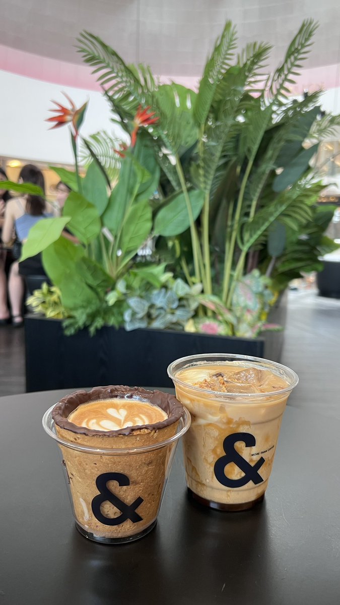 @tingtingms @MrT199311 我每次去都会点这两个， coconut espresso 太容易弄， 不值得点 https://t.co/fG4NNxCybS