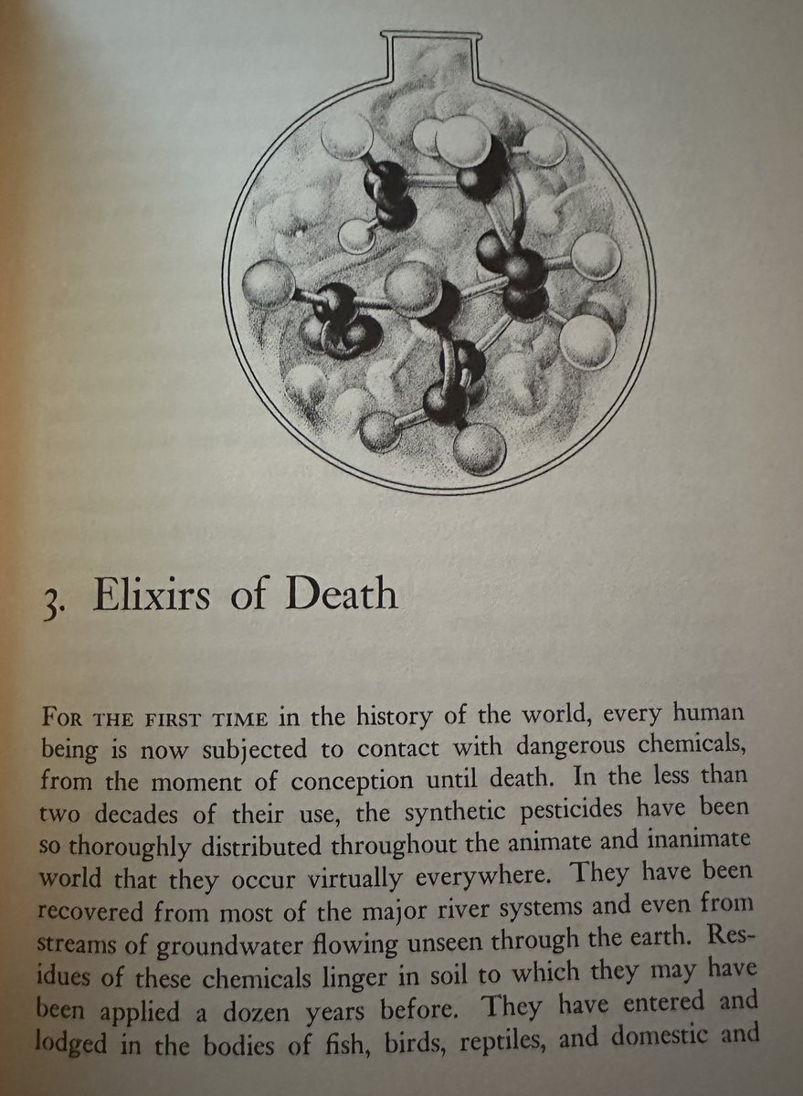 WeAre32937's tweet photo. Silent Spring☣️Rachel Carson
Her research paints a picture of the future we are living in now.
IF ONLY WE HAD LISTENED!
😉It’s vital we listen to the women who speak out now.
❤️@Judyth ❤️@WavesAction
#WomenWhoRunWithWolves
https://t.co/GwnmRbDWuq https://t.co/pejUQz8snO