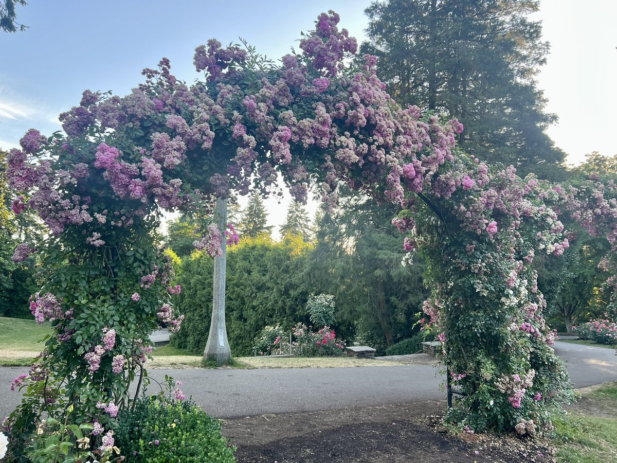 w_schnapp's tweet image. 5/ #SSIB2023 had it all: bonding with fellow trainees, cultivating new friendships, engaging in thought-provoking discussions with brilliant scientists in our niche field, attending presentations on latest cutting-edge research, and even morning runs with SSIB fitness enthusiasts